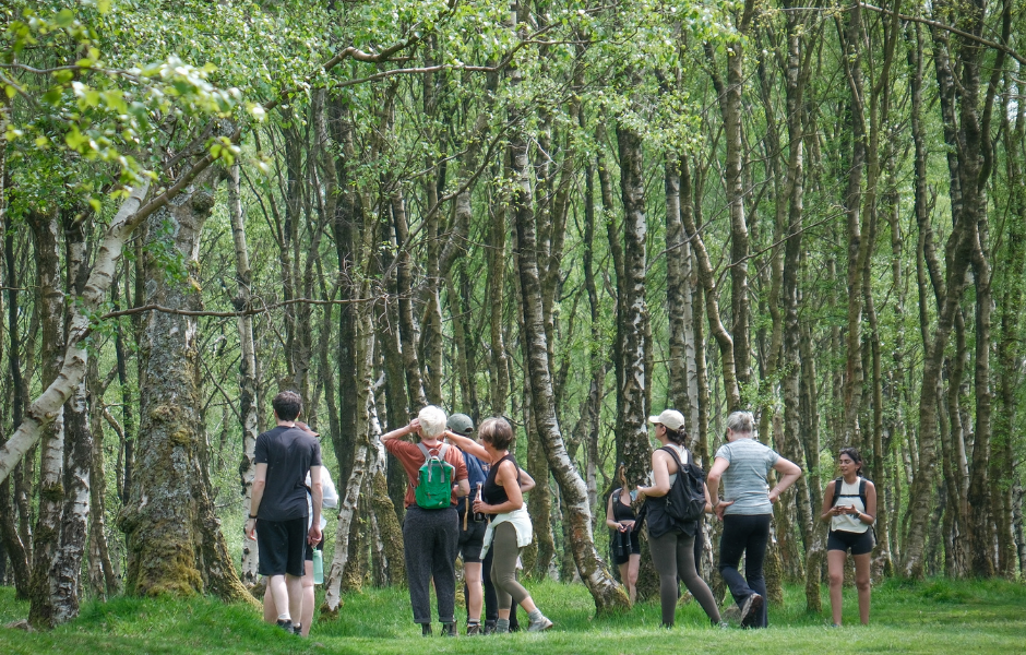 Untitled design 2025 10 30t170408.189